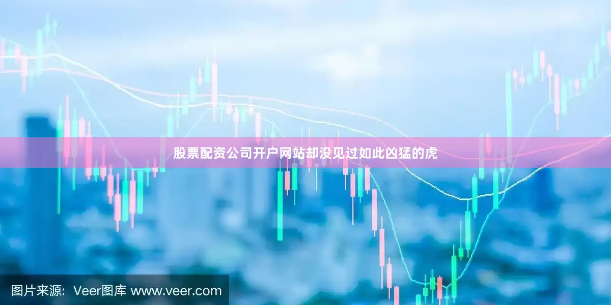 股票配资公司开户网站却没见过如此凶猛的虎