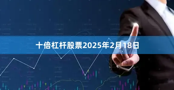 十倍杠杆股票2025年2月18日