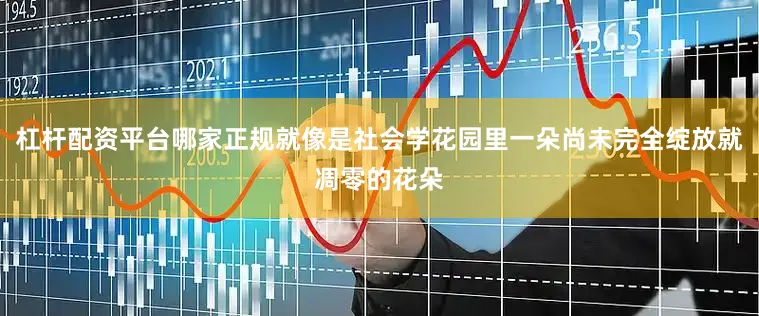 杠杆配资平台哪家正规就像是社会学花园里一朵尚未完全绽放就凋零的花朵