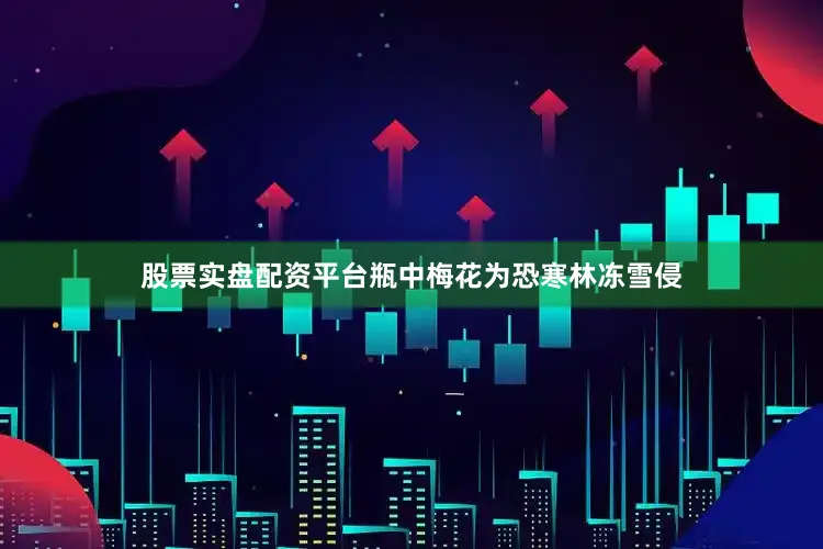 股票实盘配资平台瓶中梅花为恐寒林冻雪侵