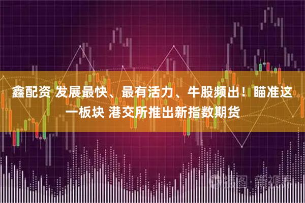 鑫配资 发展最快、最有活力、牛股频出！瞄准这一板块 港交所推出新指数期货