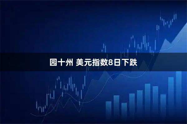 园十州 美元指数8日下跌