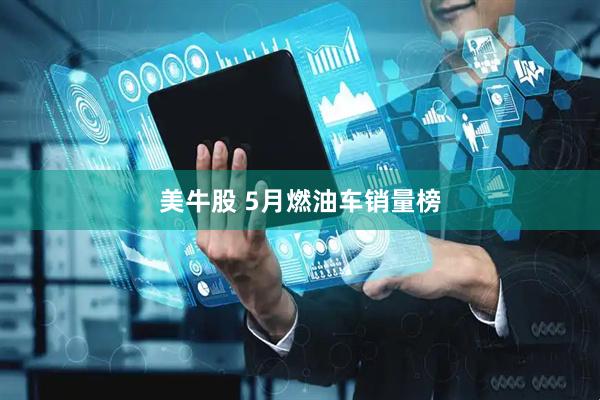 美牛股 5月燃油车销量榜